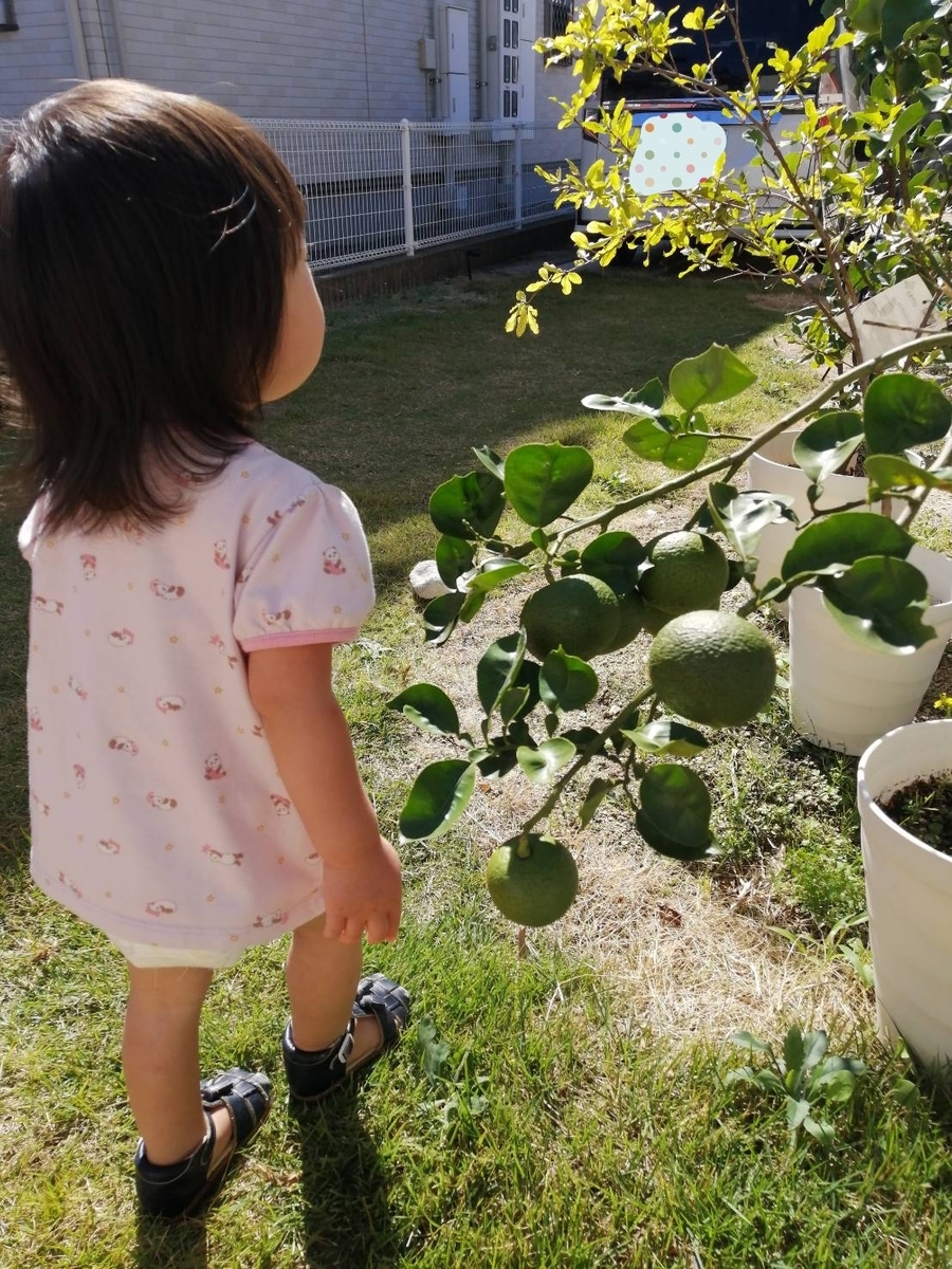 f:id:wide-tree:20211018214216j:plain