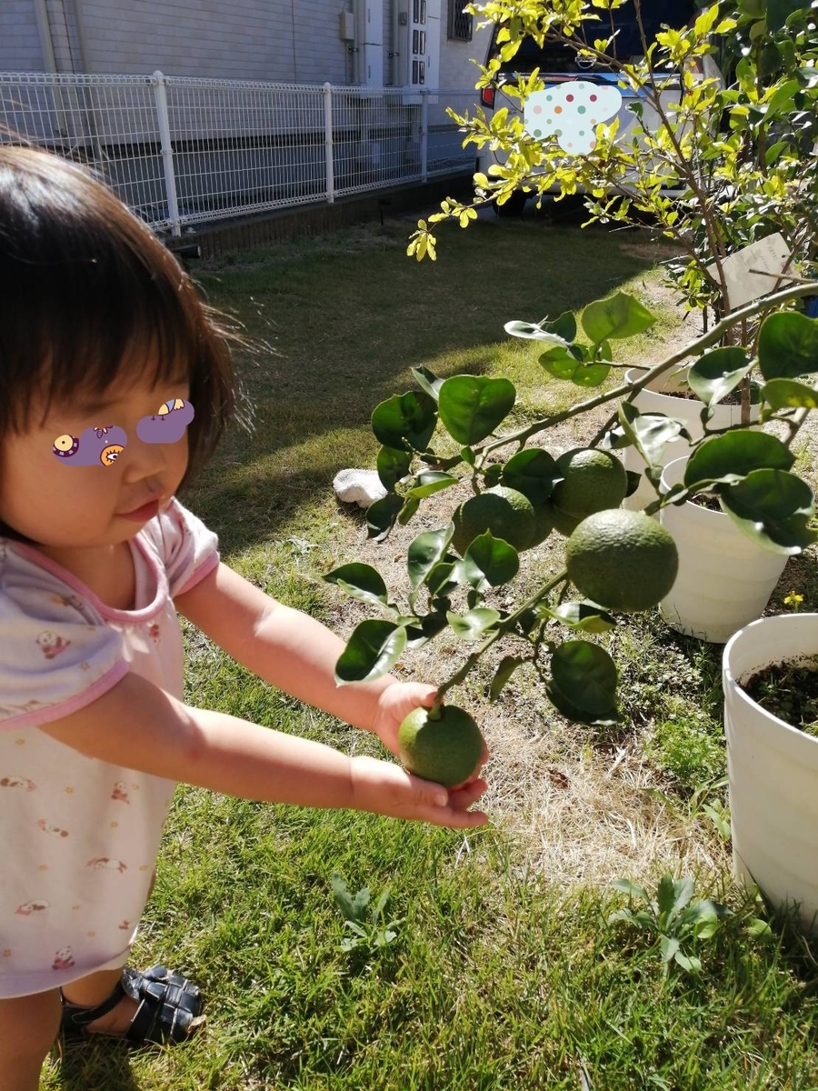 f:id:wide-tree:20211018214628j:plain