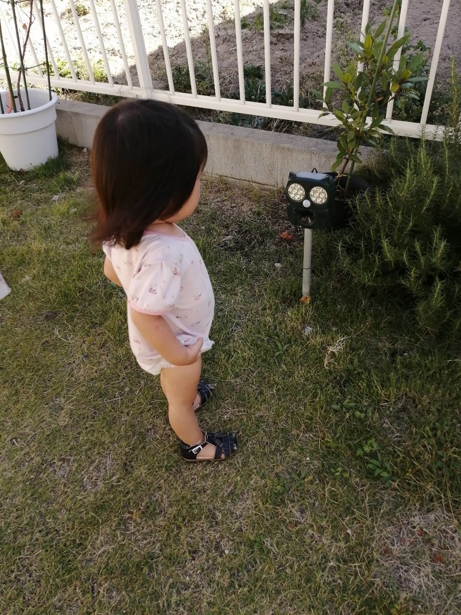 f:id:wide-tree:20211018215258j:plain