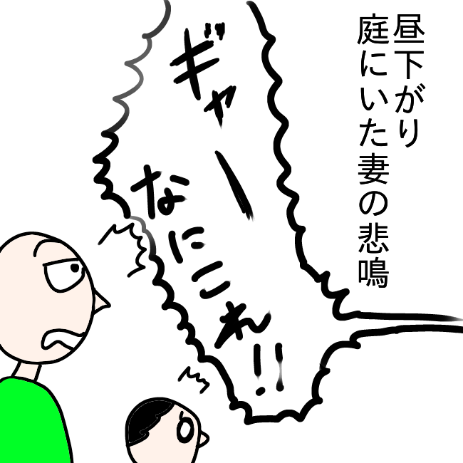 f:id:wide-tree:20211127234252p:plain