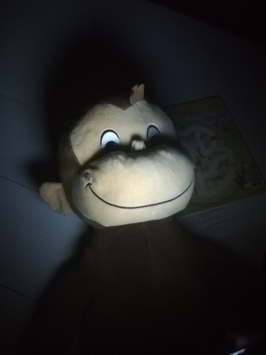 f:id:wide-tree:20220315231121j:plain