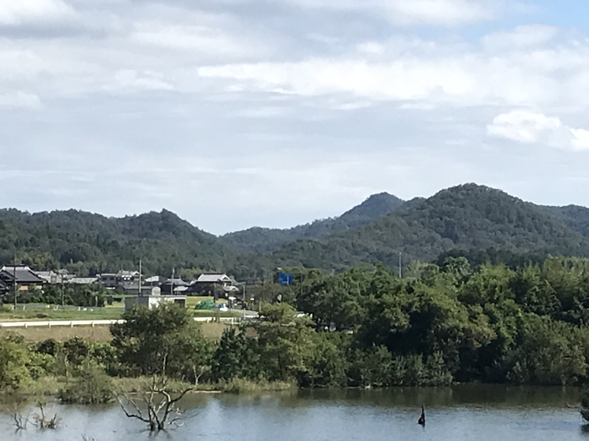 f:id:widespread:20210923110135j:plain