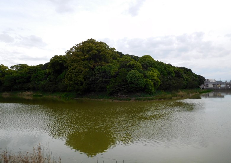 f:id:wild-o-blue:20180209220528j:plain f:id:wild-o-blue:20180209220528j:plain