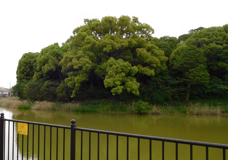 f:id:wild-o-blue:20180209220539j:plain f:id:wild-o-blue:20180209220539j:plain