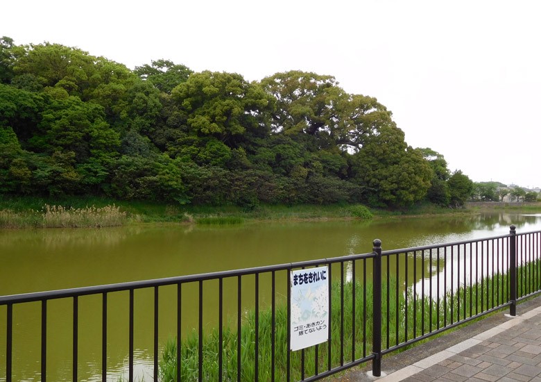 f:id:wild-o-blue:20180209220543j:plain f:id:wild-o-blue:20180209220543j:plain