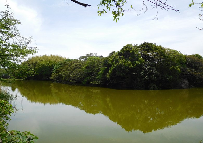 f:id:wild-o-blue:20180211091821j:plain f:id:wild-o-blue:20180211091821j:plain