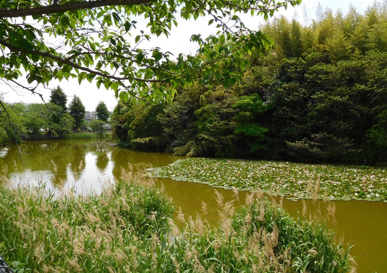 f:id:wild-o-blue:20180211091828j:plain f:id:wild-o-blue:20180211091828j:plain