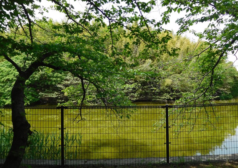 f:id:wild-o-blue:20180211091832j:plain f:id:wild-o-blue:20180211091832j:plain