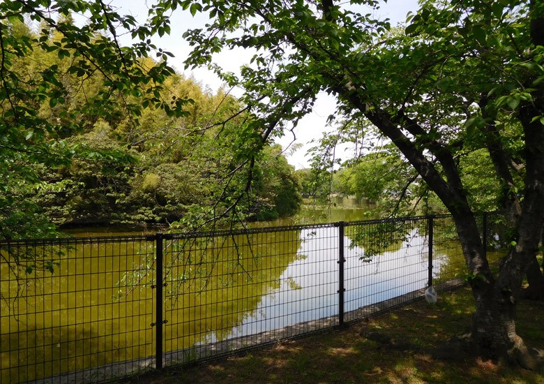 f:id:wild-o-blue:20180211091836j:plain f:id:wild-o-blue:20180211091836j:plain