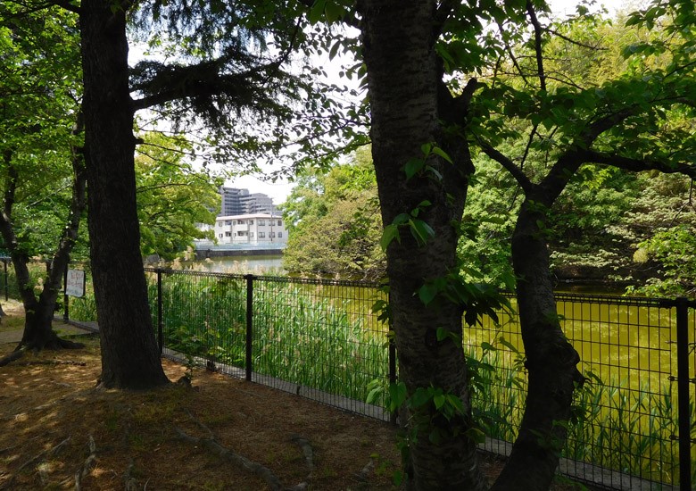 f:id:wild-o-blue:20180211091839j:plain f:id:wild-o-blue:20180211091839j:plain