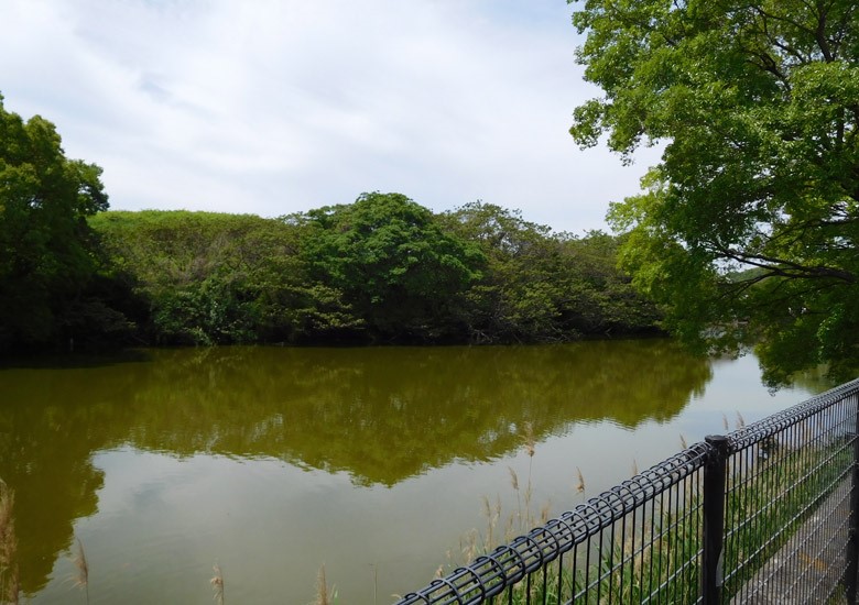 f:id:wild-o-blue:20180211091843j:plain f:id:wild-o-blue:20180211091843j:plain