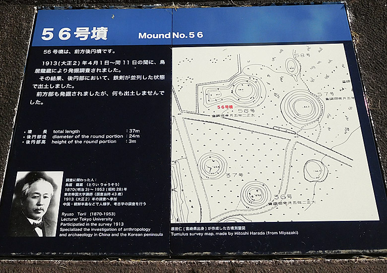 f:id:wild-o-blue:20180415230045j:plain f:id:wild-o-blue:20180415230045j:plain