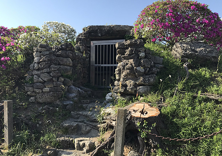 f:id:wild-o-blue:20180430115212j:plain f:id:wild-o-blue:20180430115212j:plain