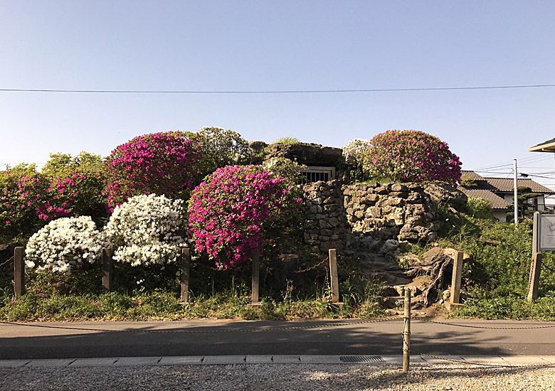 f:id:wild-o-blue:20180430115215j:plain f:id:wild-o-blue:20180430115215j:plain