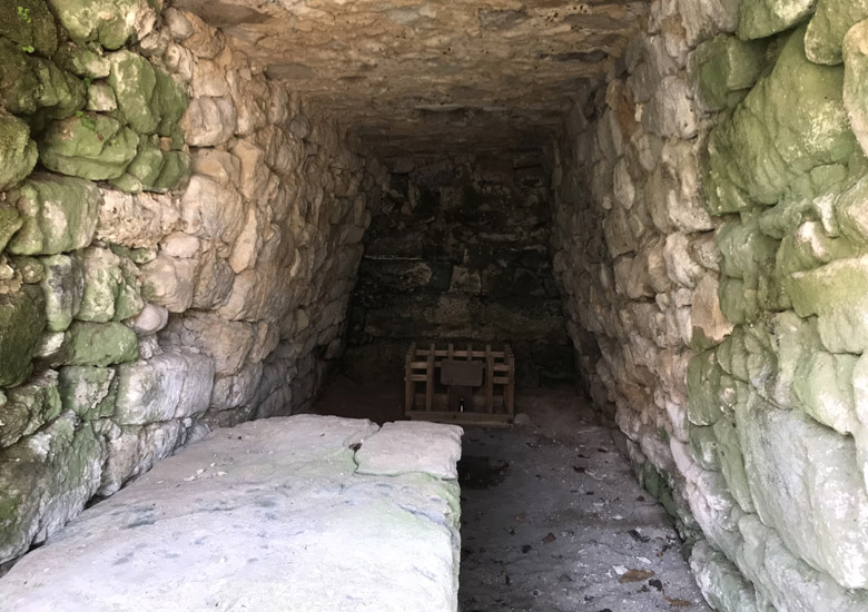 f:id:wild-o-blue:20180430115219j:plain f:id:wild-o-blue:20180430115219j:plain