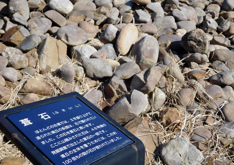f:id:wild-o-blue:20180504080243j:plain f:id:wild-o-blue:20180504080243j:plain
