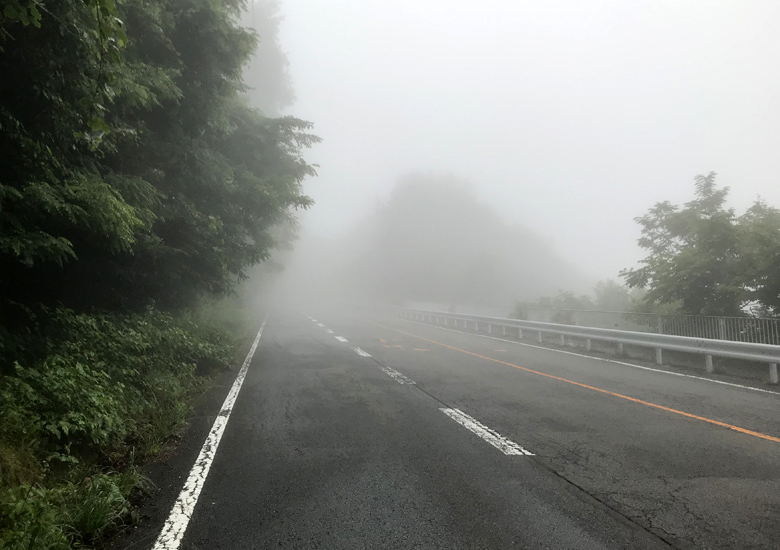 f:id:wild-o-blue:20180625214816j:plain