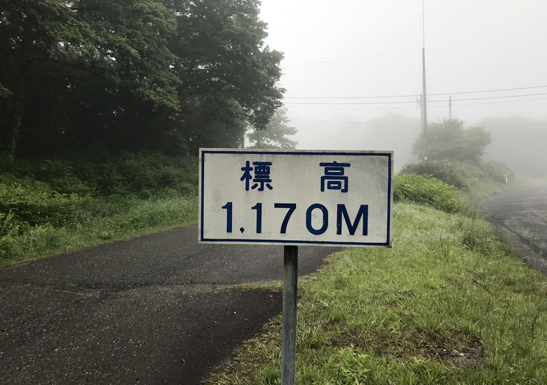 f:id:wild-o-blue:20180625214848j:plain