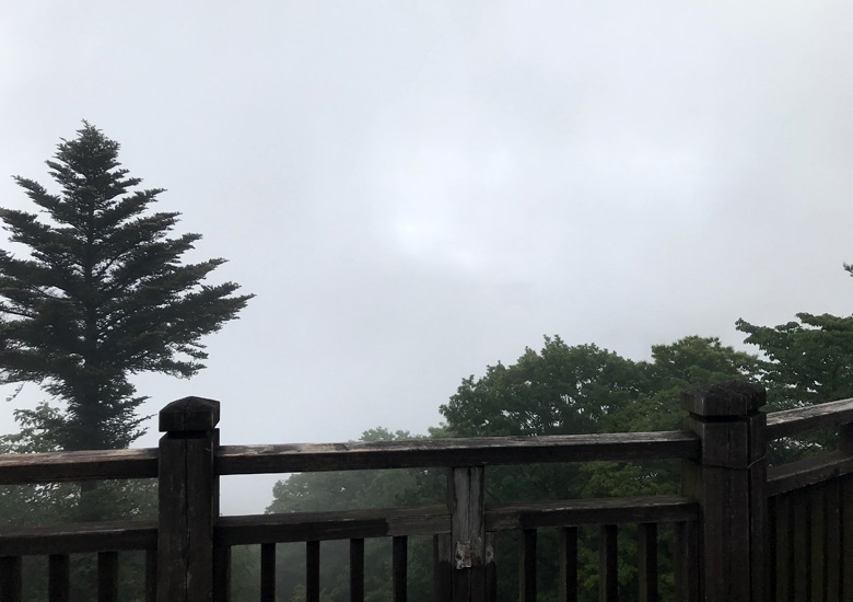 f:id:wild-o-blue:20180625215128j:plain