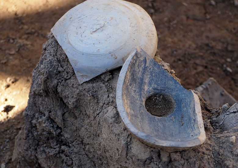 f:id:wild-o-blue:20180914060311j:plain f:id:wild-o-blue:20180914060311j:plain