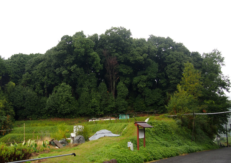 f:id:wild-o-blue:20180914213531j:plain