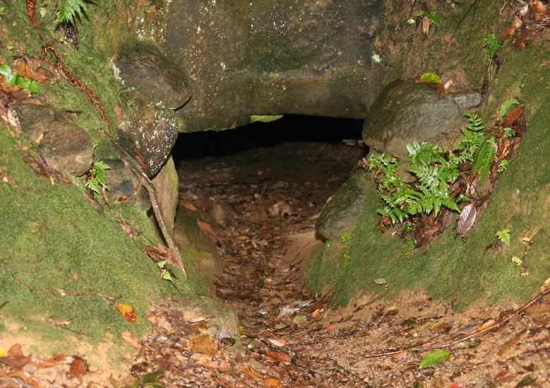 f:id:wild-o-blue:20180914213614j:plain