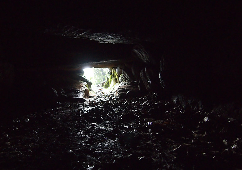 f:id:wild-o-blue:20180914213715j:plain