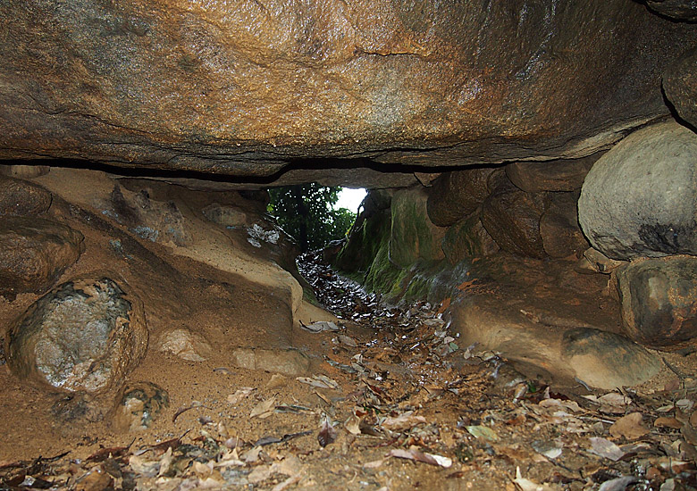 f:id:wild-o-blue:20180914214021j:plain