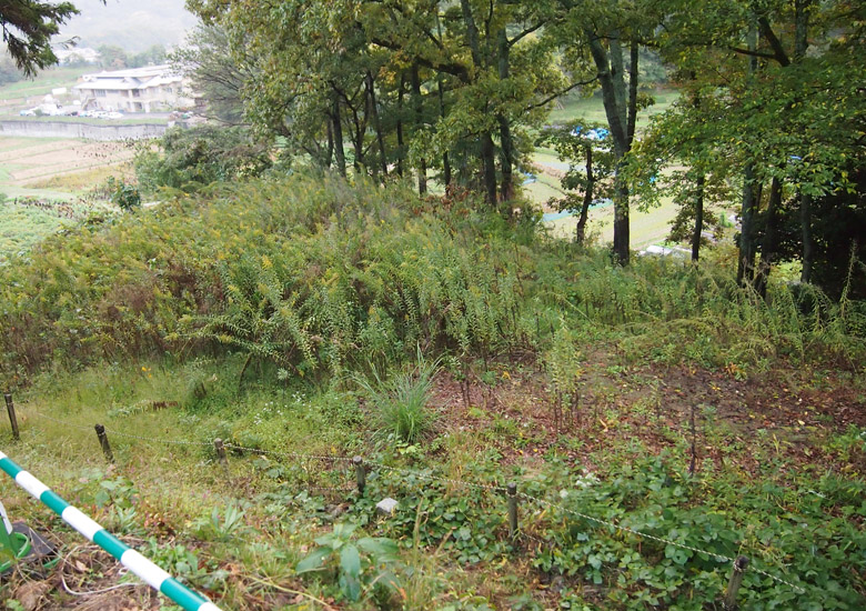 f:id:wild-o-blue:20181207212503j:plain