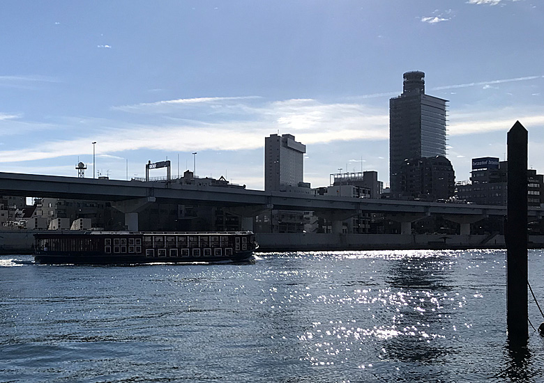 f:id:wild-o-blue:20190102110054j:plain