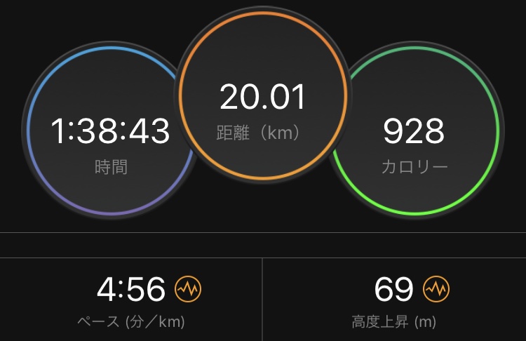 f:id:wild-o-blue:20190115223440j:plain