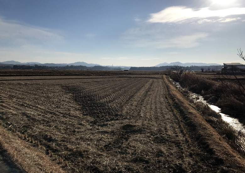 f:id:wild-o-blue:20190117225859j:plain