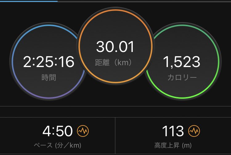 f:id:wild-o-blue:20190203200352j:plain f:id:wild-o-blue:20190203200352j:plain