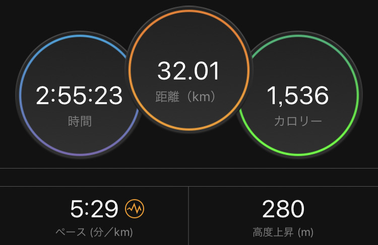 f:id:wild-o-blue:20190211111452j:plain f:id:wild-o-blue:20190211111452j:plain