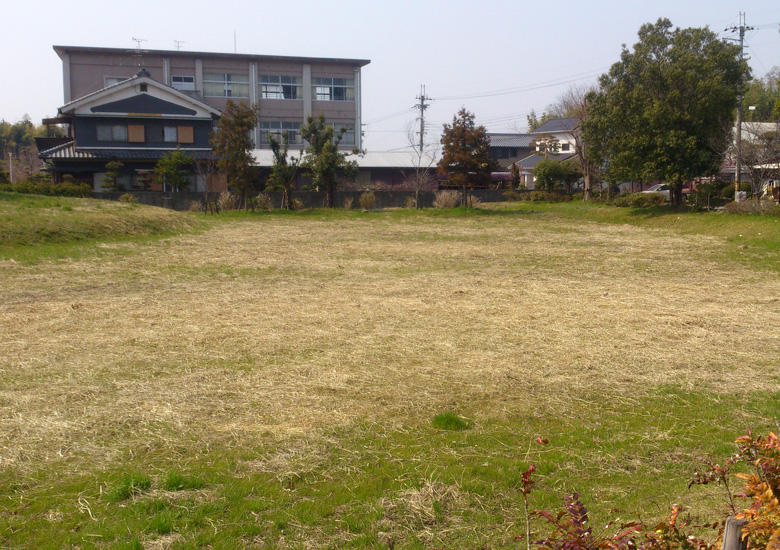 f:id:wild-o-blue:20190219082124j:plain