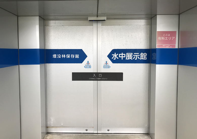 f:id:wild-o-blue:20190408214735j:plain