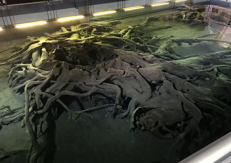 f:id:wild-o-blue:20190408214927j:plain f:id:wild-o-blue:20190408214927j:plain