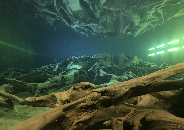 f:id:wild-o-blue:20190408215444j:plain f:id:wild-o-blue:20190408215444j:plain