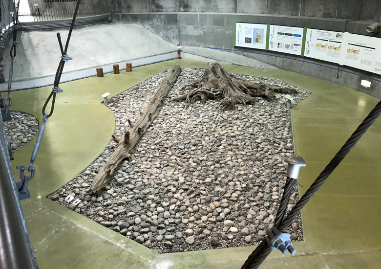 f:id:wild-o-blue:20190408215936j:plain f:id:wild-o-blue:20190408215936j:plain