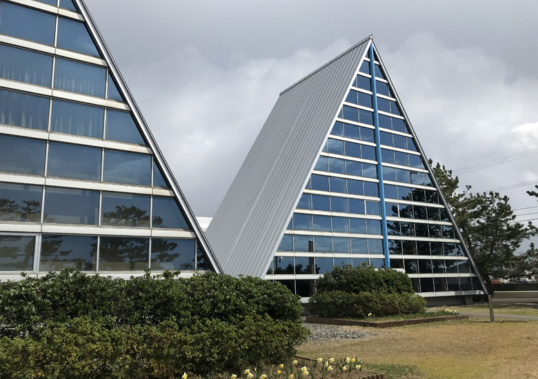 f:id:wild-o-blue:20190408220147j:plain f:id:wild-o-blue:20190408220147j:plain