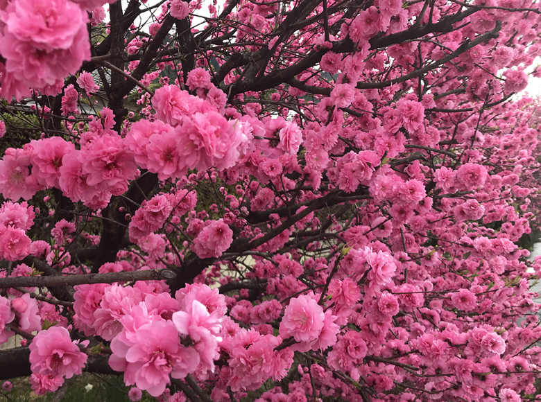 f:id:wild-o-blue:20190421115527j:plain