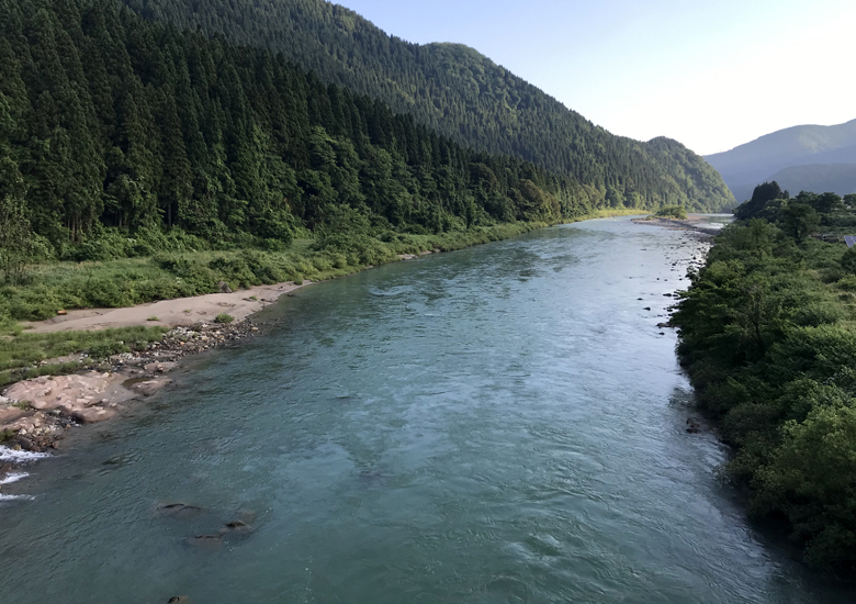f:id:wild-o-blue:20190601142140j:plain