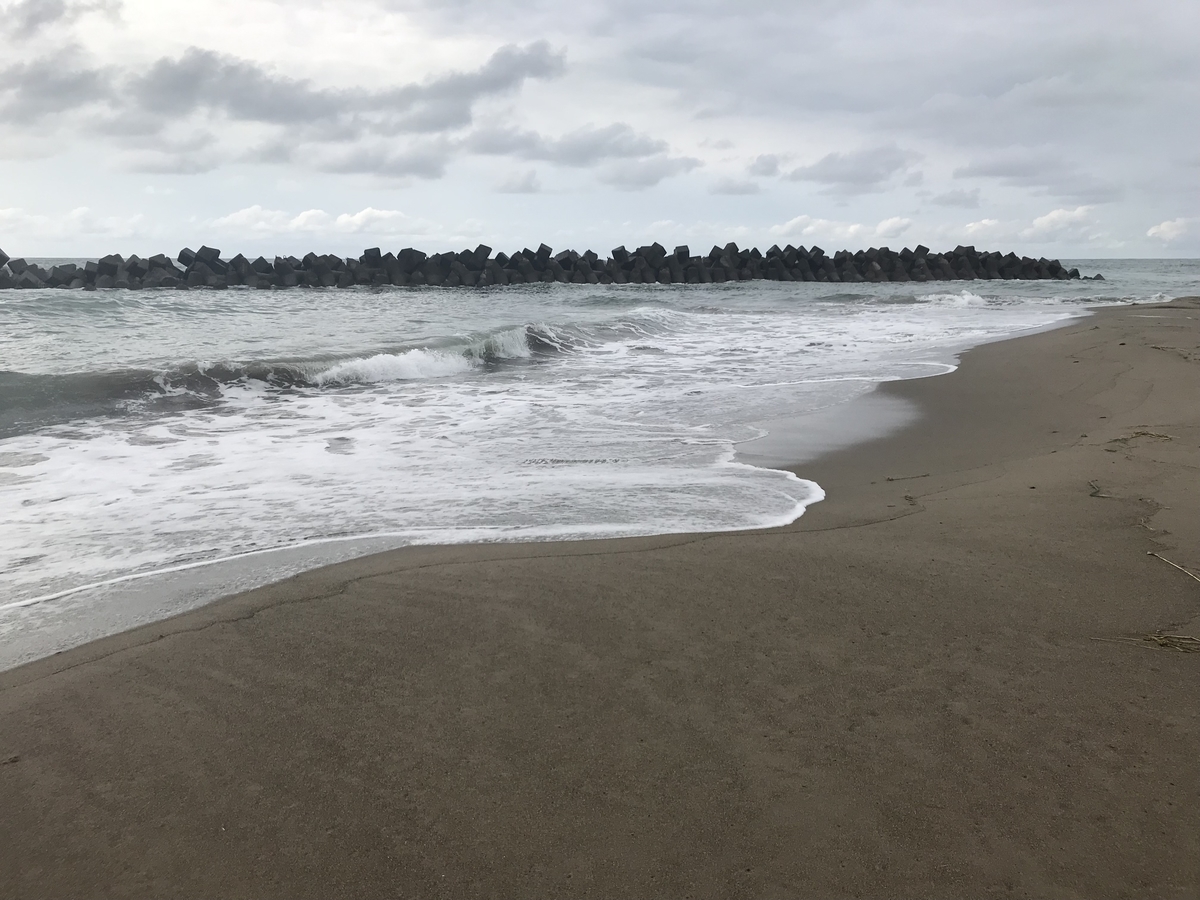 f:id:wild-o-blue:20190625060655j:plain