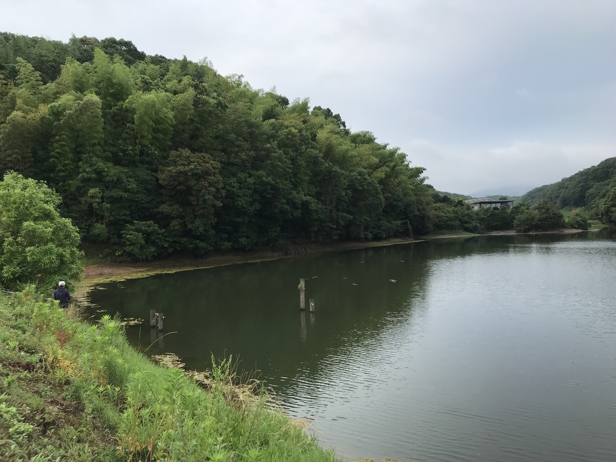 f:id:wild-o-blue:20190721064349j:plain