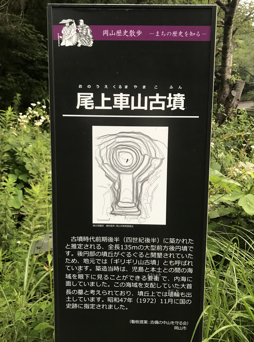 f:id:wild-o-blue:20190812175848j:plain f:id:wild-o-blue:20190812175848j:plain