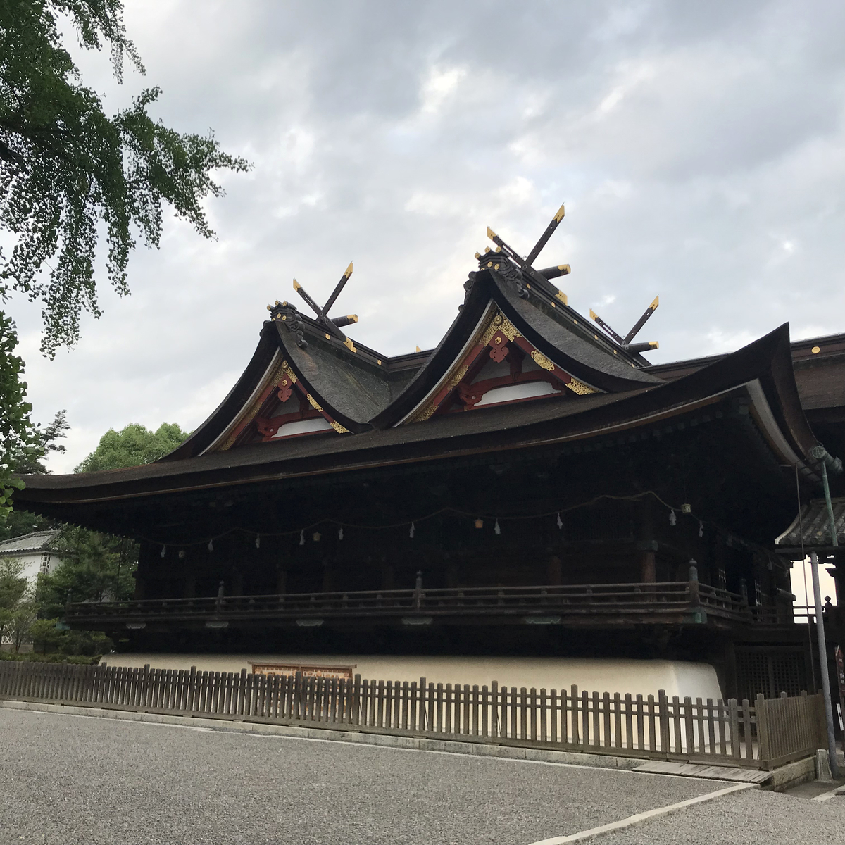 f:id:wild-o-blue:20190812183859j:plain f:id:wild-o-blue:20190812183859j:plain