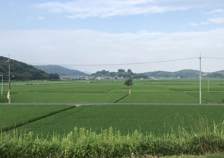 f:id:wild-o-blue:20190813211551j:plain