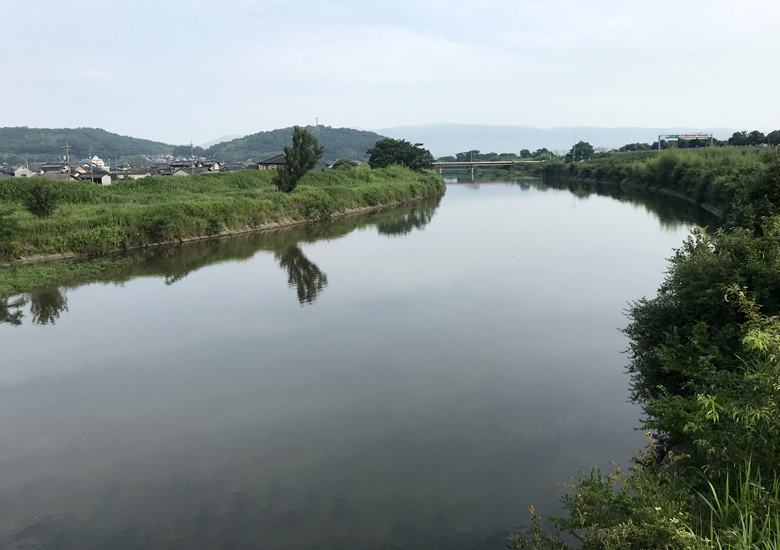 f:id:wild-o-blue:20190813211819j:plain
