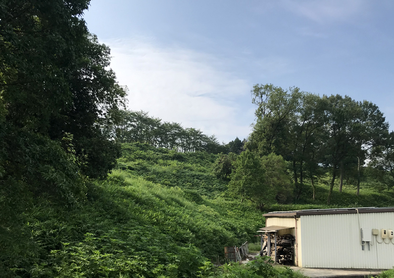 f:id:wild-o-blue:20190813211923j:plain