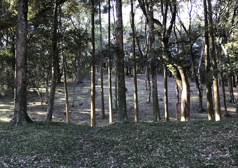 f:id:wild-o-blue:20190815205119j:plain